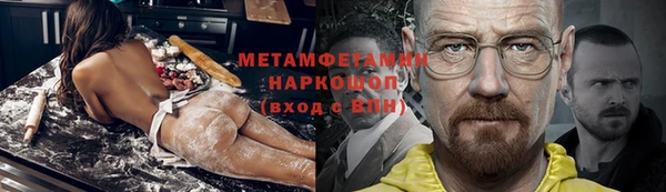 прущие грибы Новозыбков