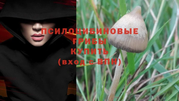 таблы Новокубанск