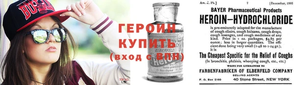 прущие грибы Новозыбков