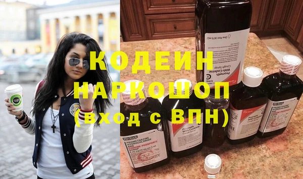 прущие грибы Новозыбков