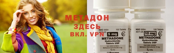 прущие грибы Новозыбков