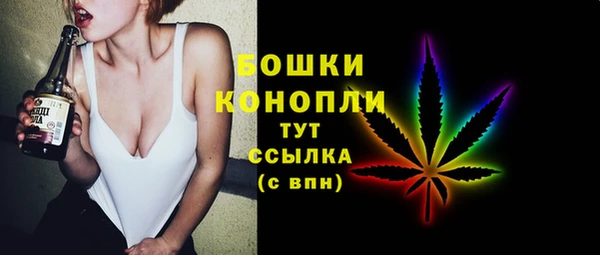 прущие грибы Новозыбков