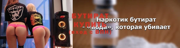 прущие грибы Новозыбков