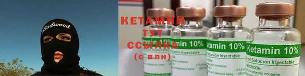 прущие грибы Новозыбков