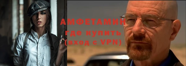 прущие грибы Новозыбков