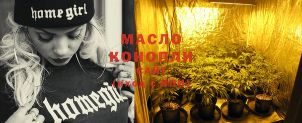 прущие грибы Новозыбков