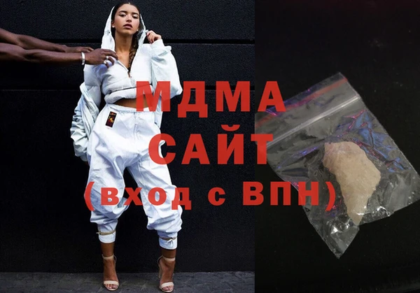 прущие грибы Новозыбков