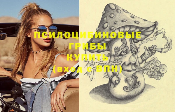 меф Новодвинск