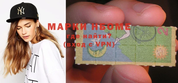 прущие грибы Новозыбков