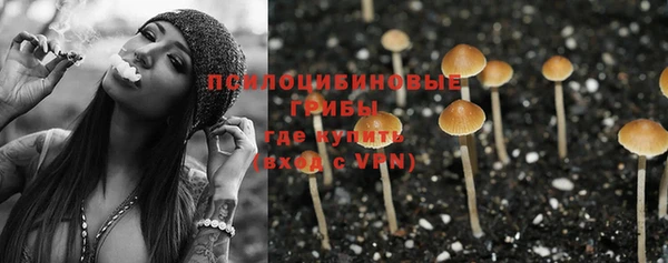 прущие крисы Нефтекумск