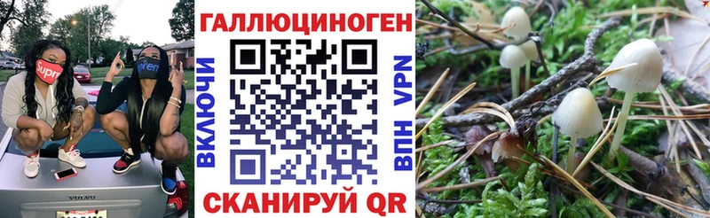 Купить закладки  Морозовск  Псилоцибиновые грибы ЛСД 